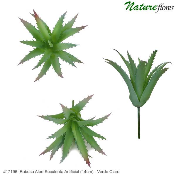 Babosa Aloe Suculenta Artificial (14cm) - Imagem 4