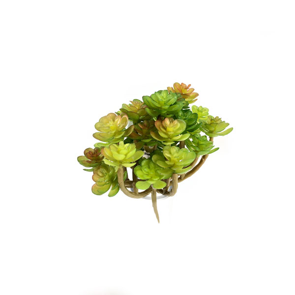 Araucaria Suculenta Artificial Mini (10cm)