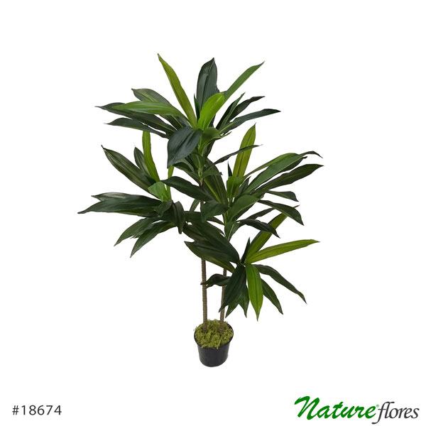 Dracena Verde Marginata Árvore Artificial (1,70m) - Imagem 9