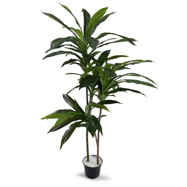 Dracena Verde Marginata Árvore Artificial (1,70m) - Imagem 6