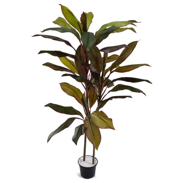 Dracena Verde Marginata Árvore Artificial (1,70m) - Imagem 8