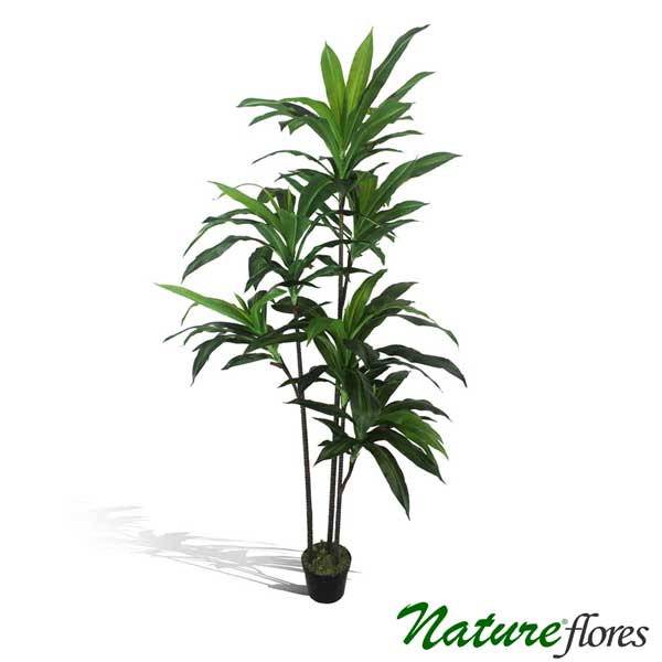 Dracena Verde Marginata Árvore Artificial (1,70m) - Imagem 3