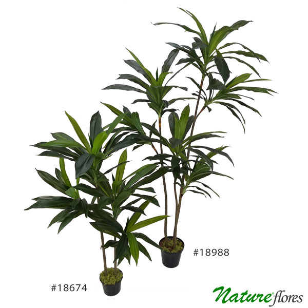 Dracena Verde Marginata Árvore Artificial (1,70m)