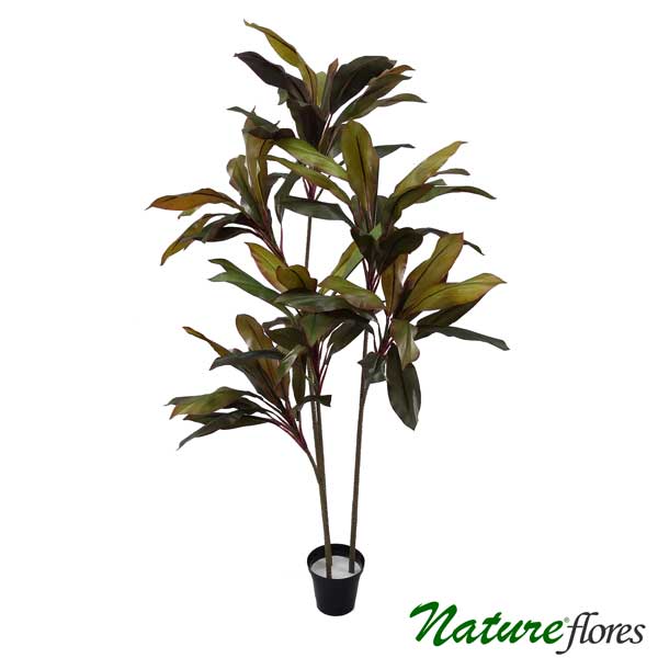 Dracena Verde Marginata Árvore Artificial (1,70m) - Imagem 5