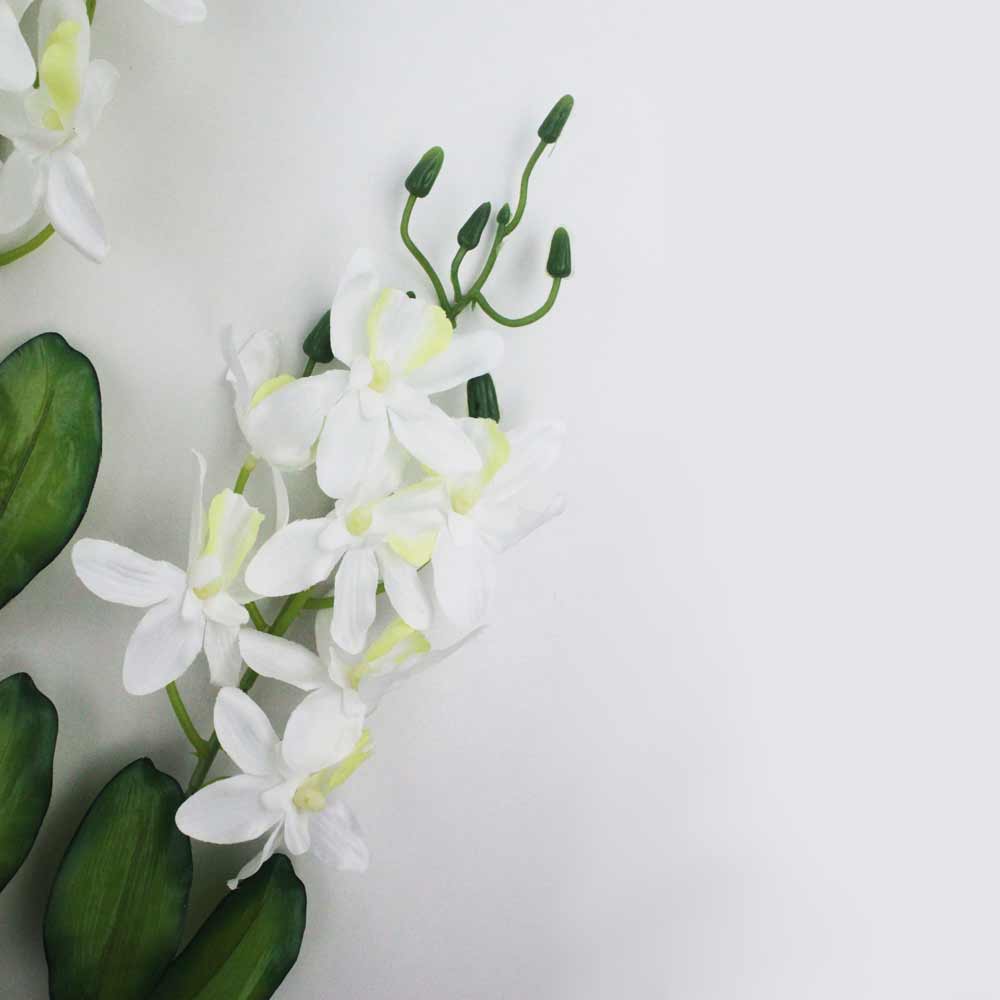 Orquídea Catleya 5H (70cm) - Imagem 3