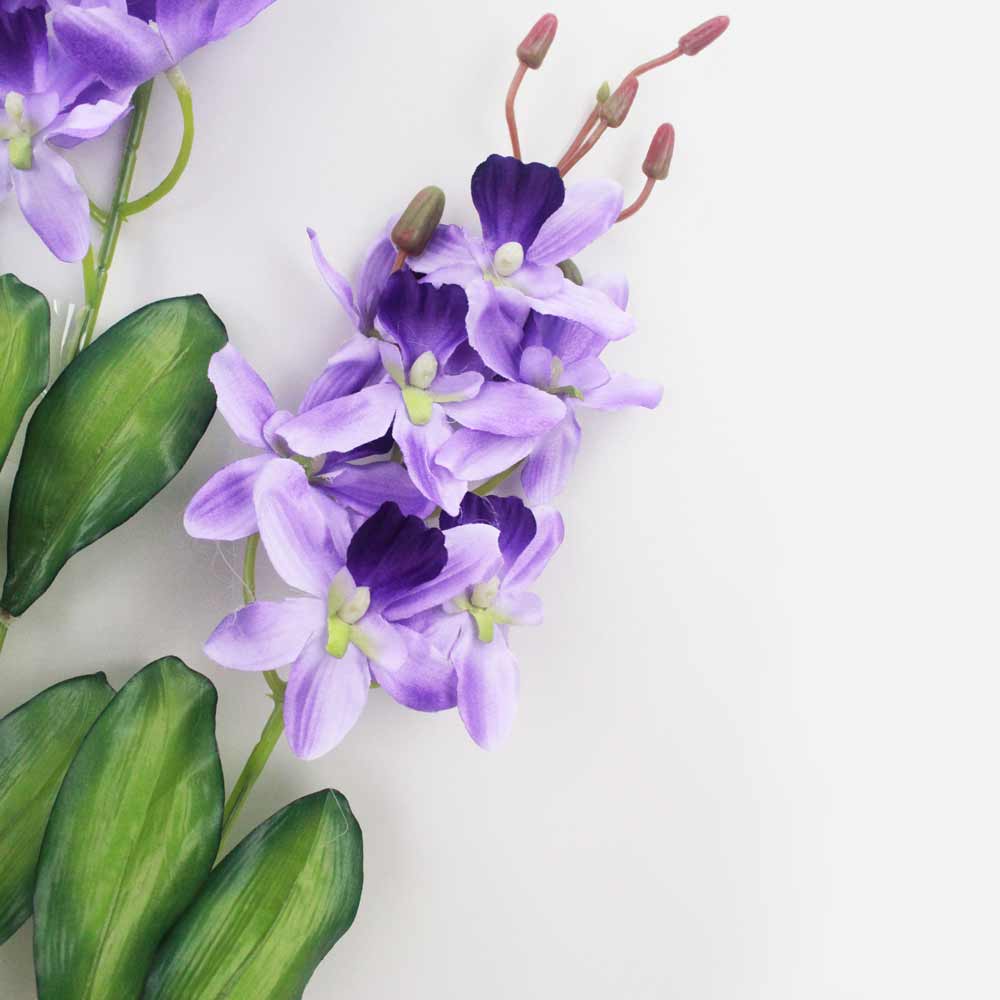 Orquídea Catleya 5H (70cm) - Imagem 14