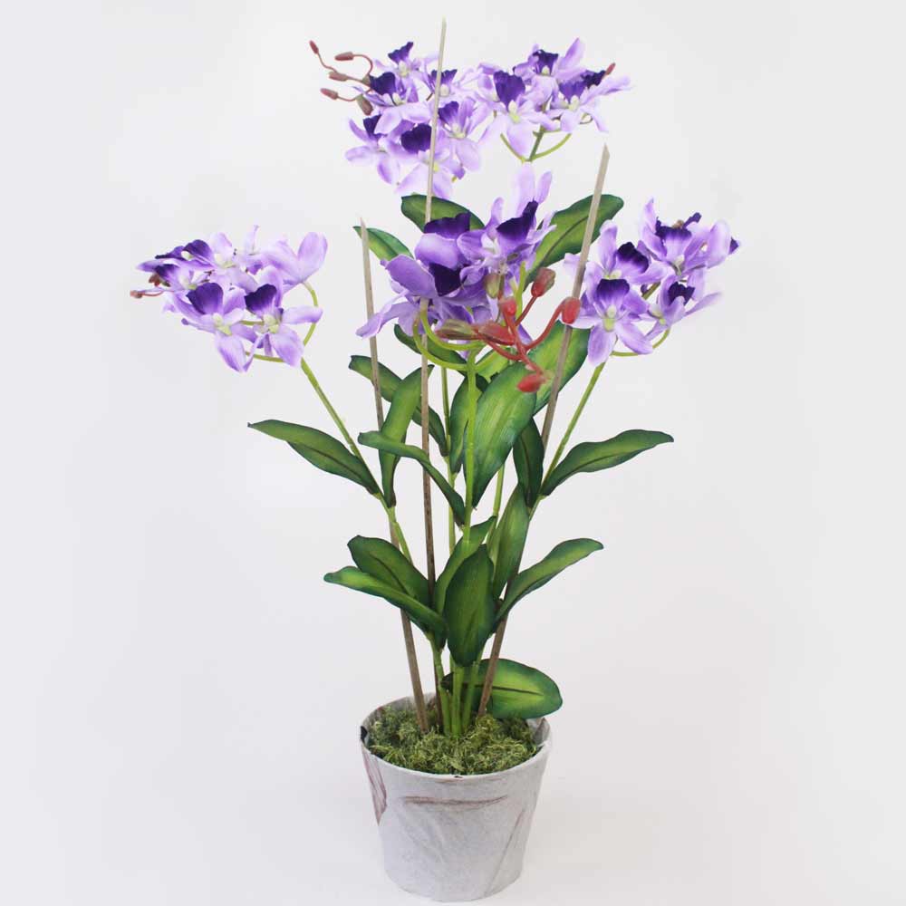 Orquídea Catleya 5H (70cm) - Imagem 16