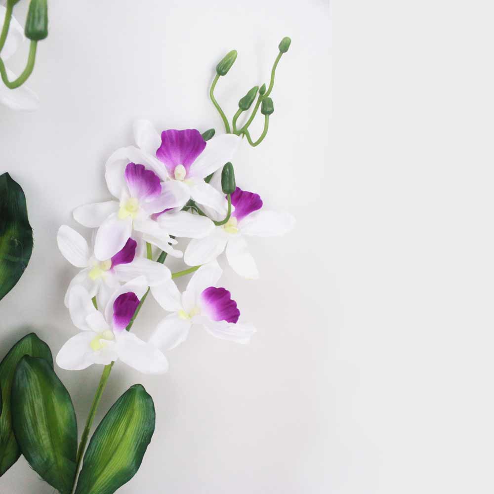 Orquídea Catleya 5H (70cm) - Imagem 6
