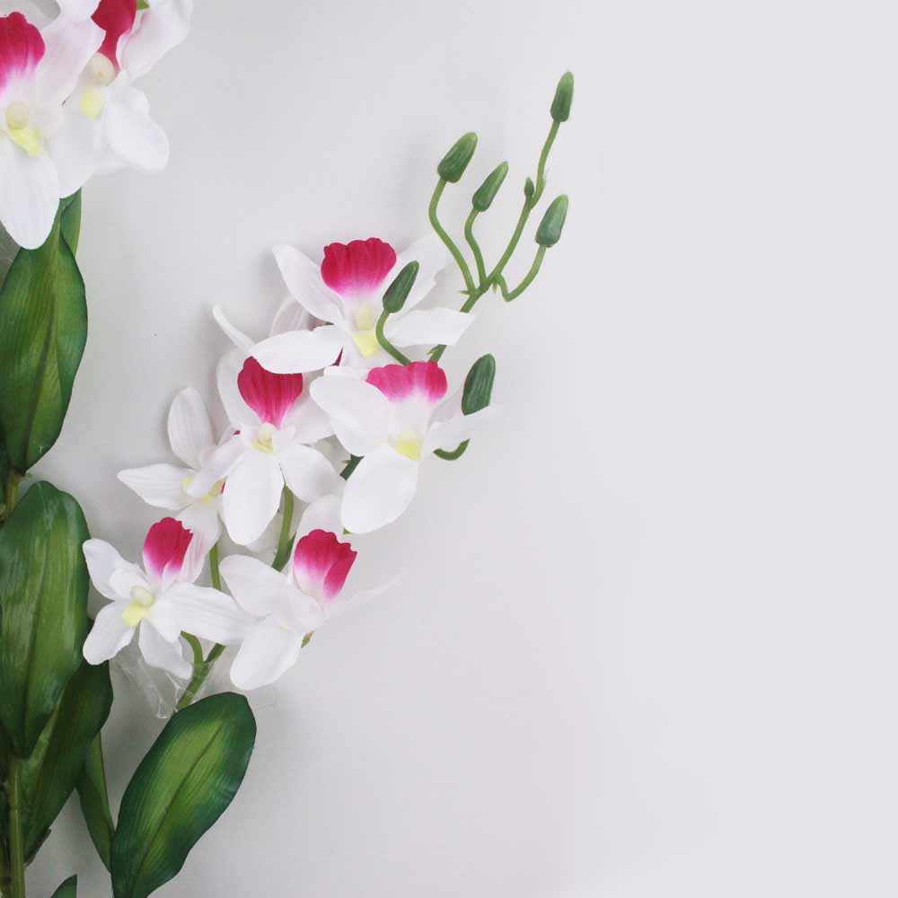 Orquídea Catleya 5H (70cm) - Imagem 10
