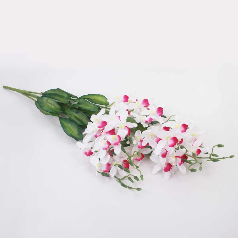 Orquídea Catleya 5H (70cm) - Imagem 11