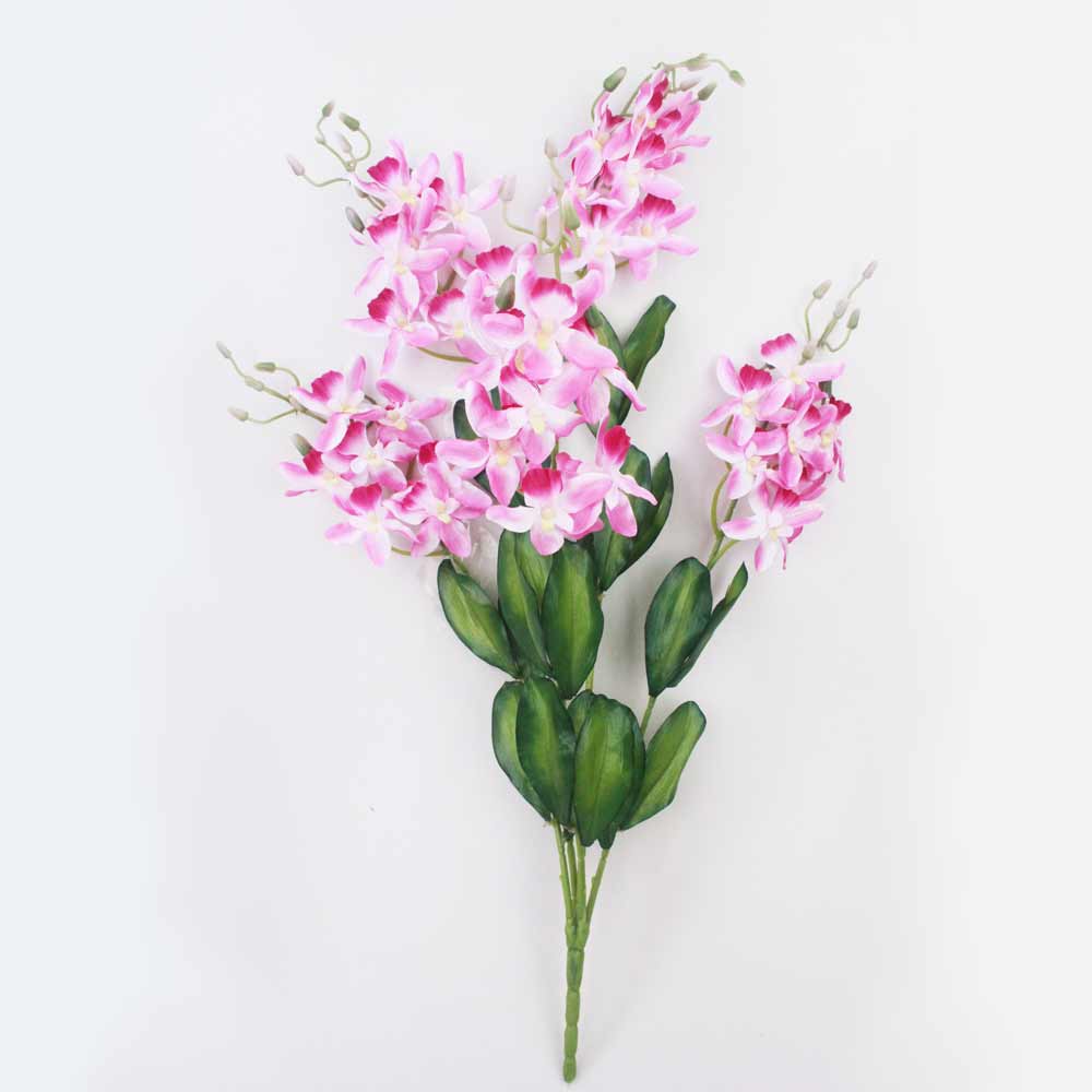 Orquídea Catleya 5H (70cm)
