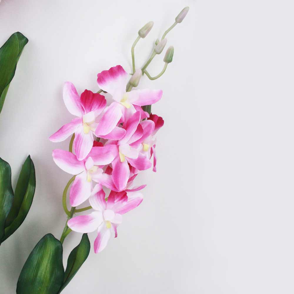 Orquídea Catleya 5H (70cm) - Imagem 17