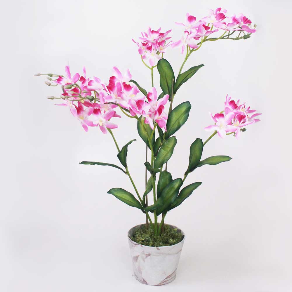 Orquídea Catleya 5H (70cm) - Imagem 19