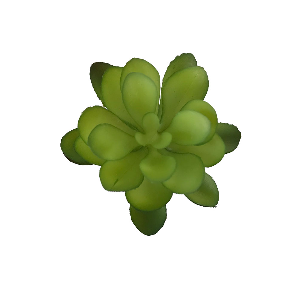 Balsamo artificial (11cm) - Imagem 3