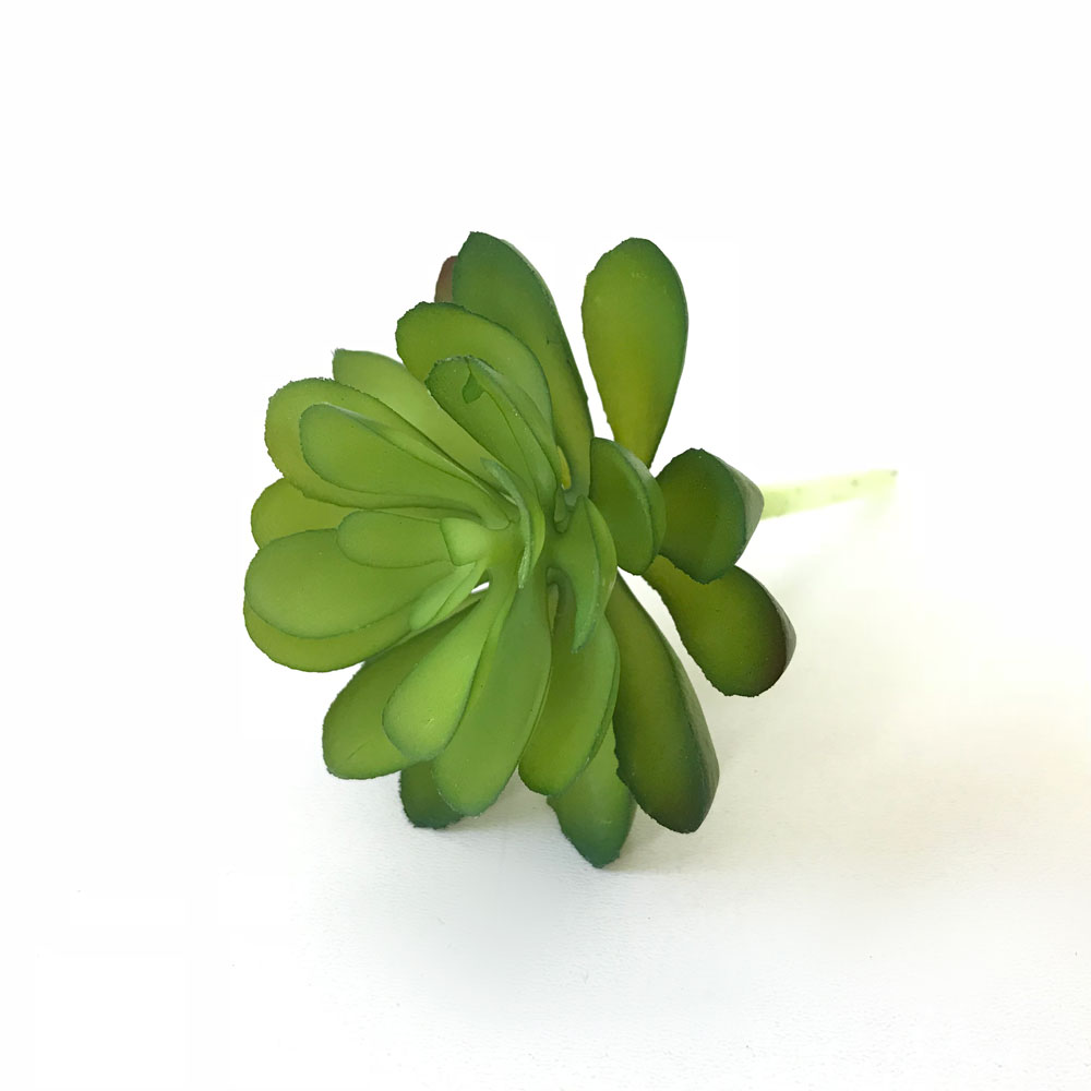 Balsamo artificial (11cm) - Imagem 5