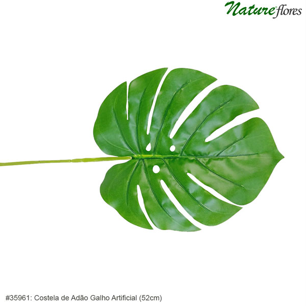 Costela de Adão Galho Artificial (78cm) - Imagem 5