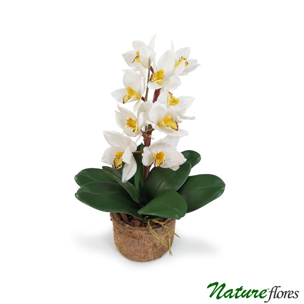Folhas de Orquídea Artificial com Raiz 5F (27cm) - Imagem 5