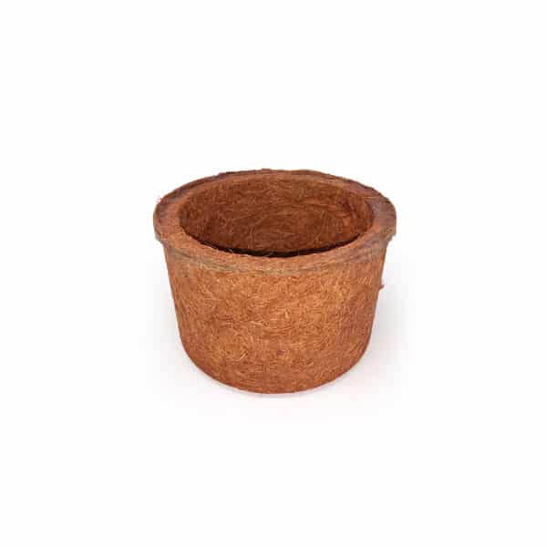 Vaso Fibra Coco 100% Natural - Imagem 5