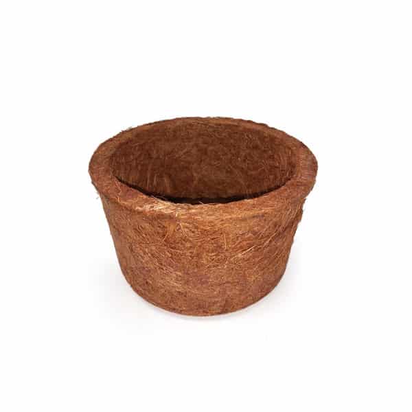 Vaso Fibra Coco 100% Natural - Imagem 6