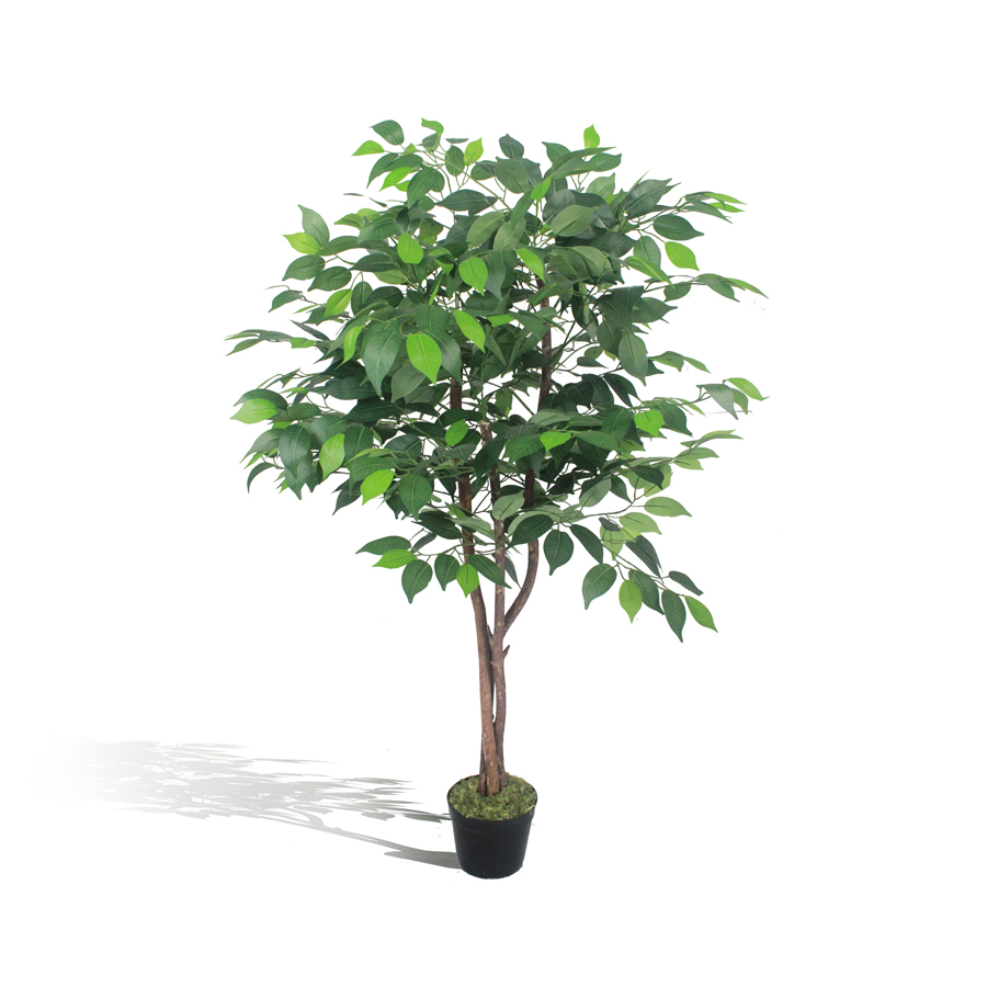 Ficus Verde 1,50m Semi-Artificial - Imagem 7