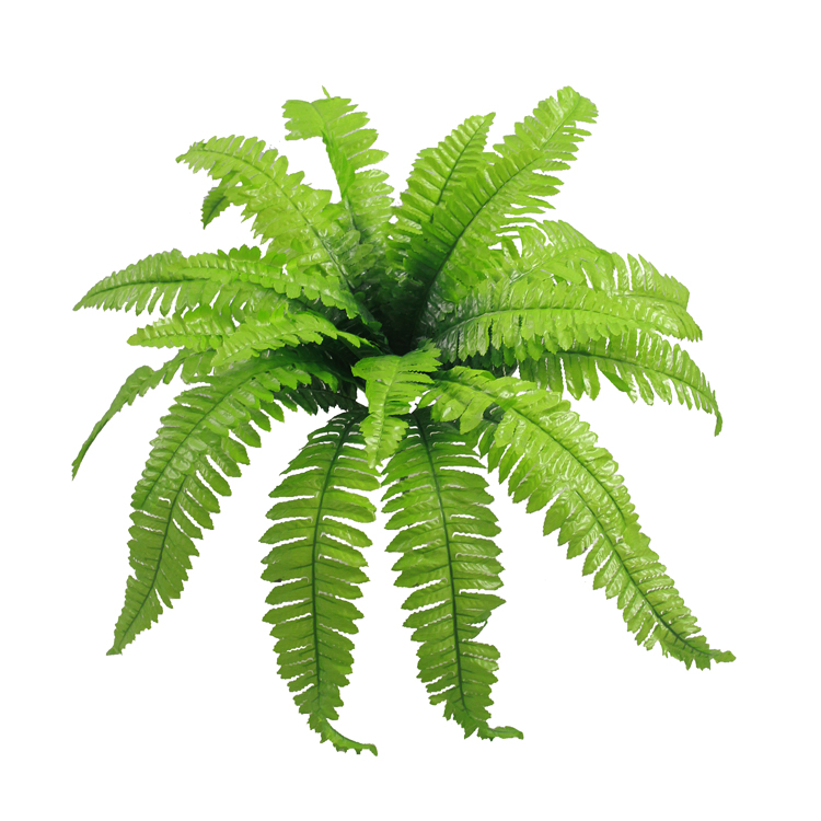 Samambaia Folhagem Artificial 15F (70cm) - Imagem 4