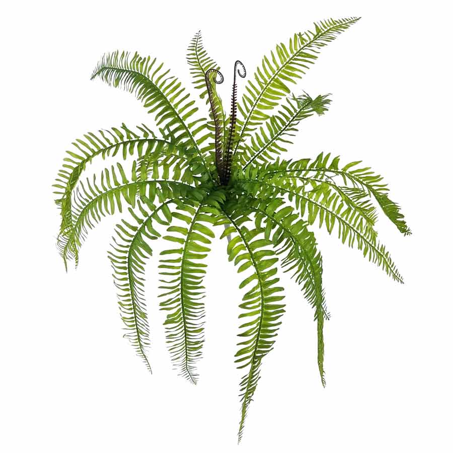 Samambaia Folhagem Artificial 15F (70cm) - Imagem 3