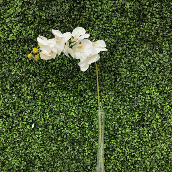Orquidea Premium Branco Galho Artificial 5F (80cm) - Imagem 8