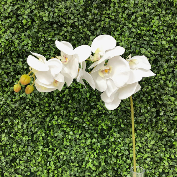 Orquidea Premium Branco Galho Artificial 5F (80cm) - Imagem 9