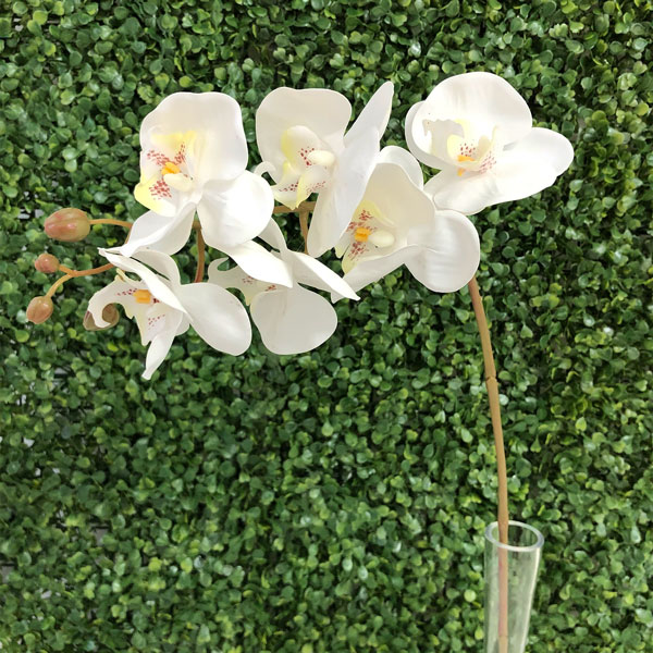 Orquidea Premium Branco Galho Artificial 5F (80cm) - Imagem 5