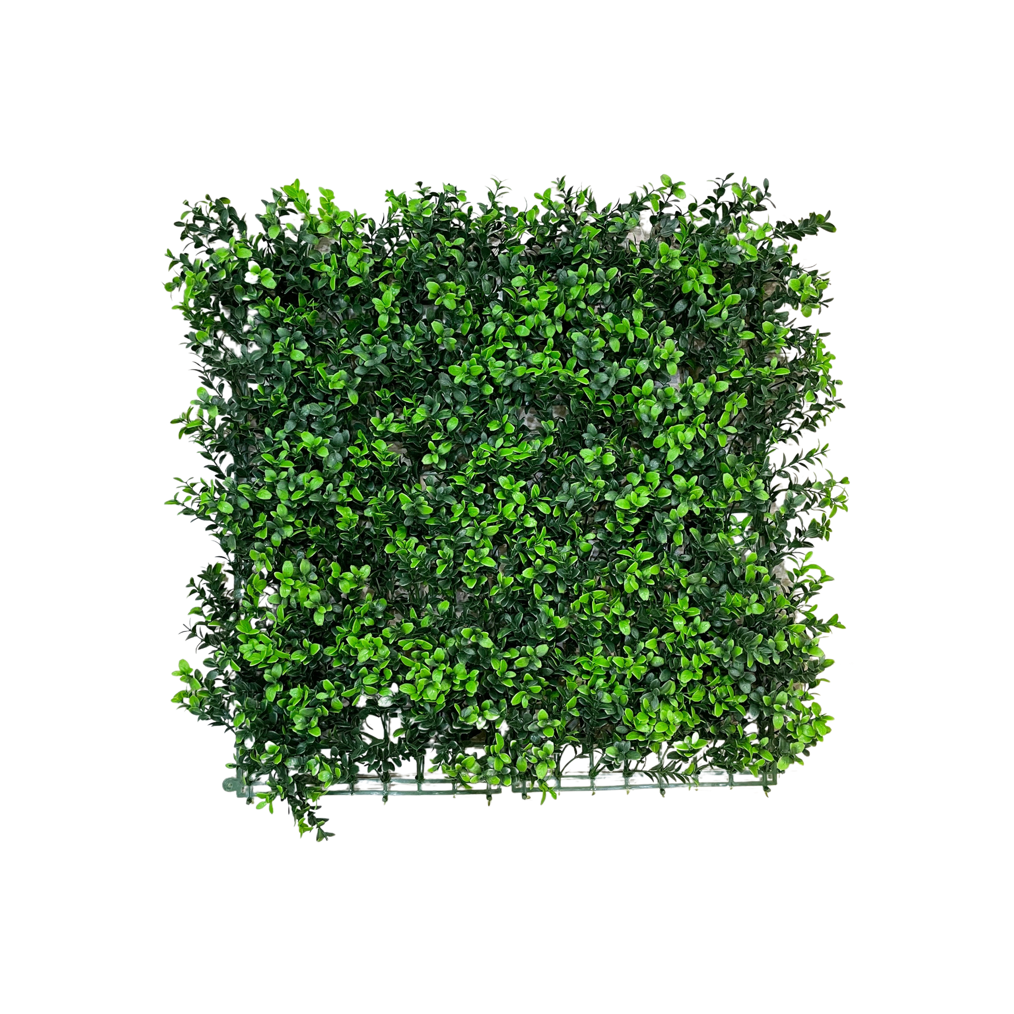 Placa Folhagem UV Jardim Vertical Artificial (50x50cm)