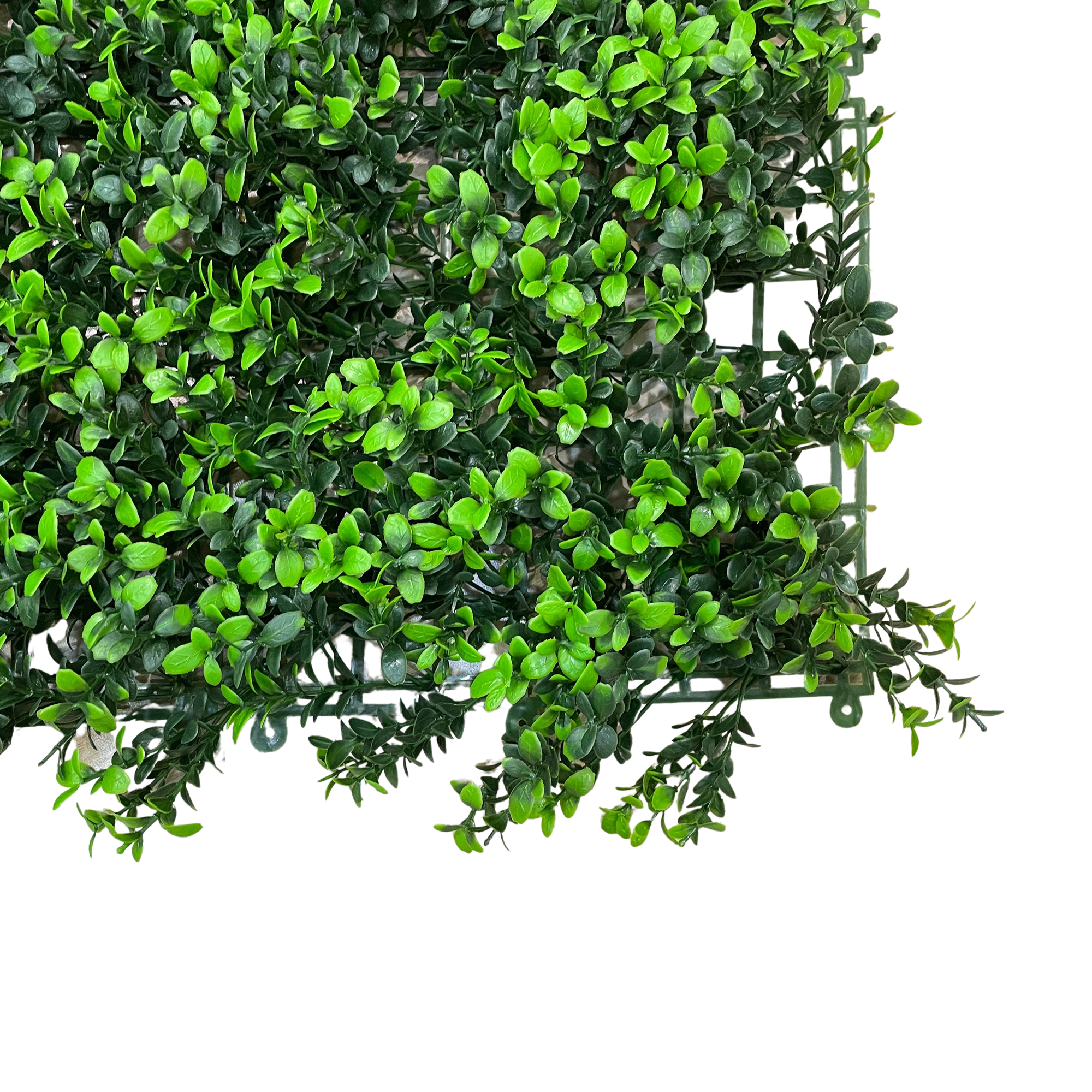 Placa Folhagem UV Jardim Vertical Artificial (50x50cm) - Imagem 2