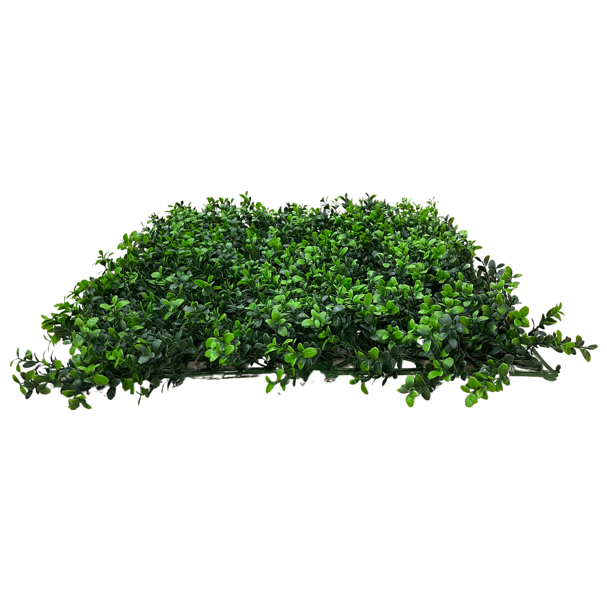 Placa Folhagem UV Jardim Vertical Artificial (50x50cm) - Imagem 3