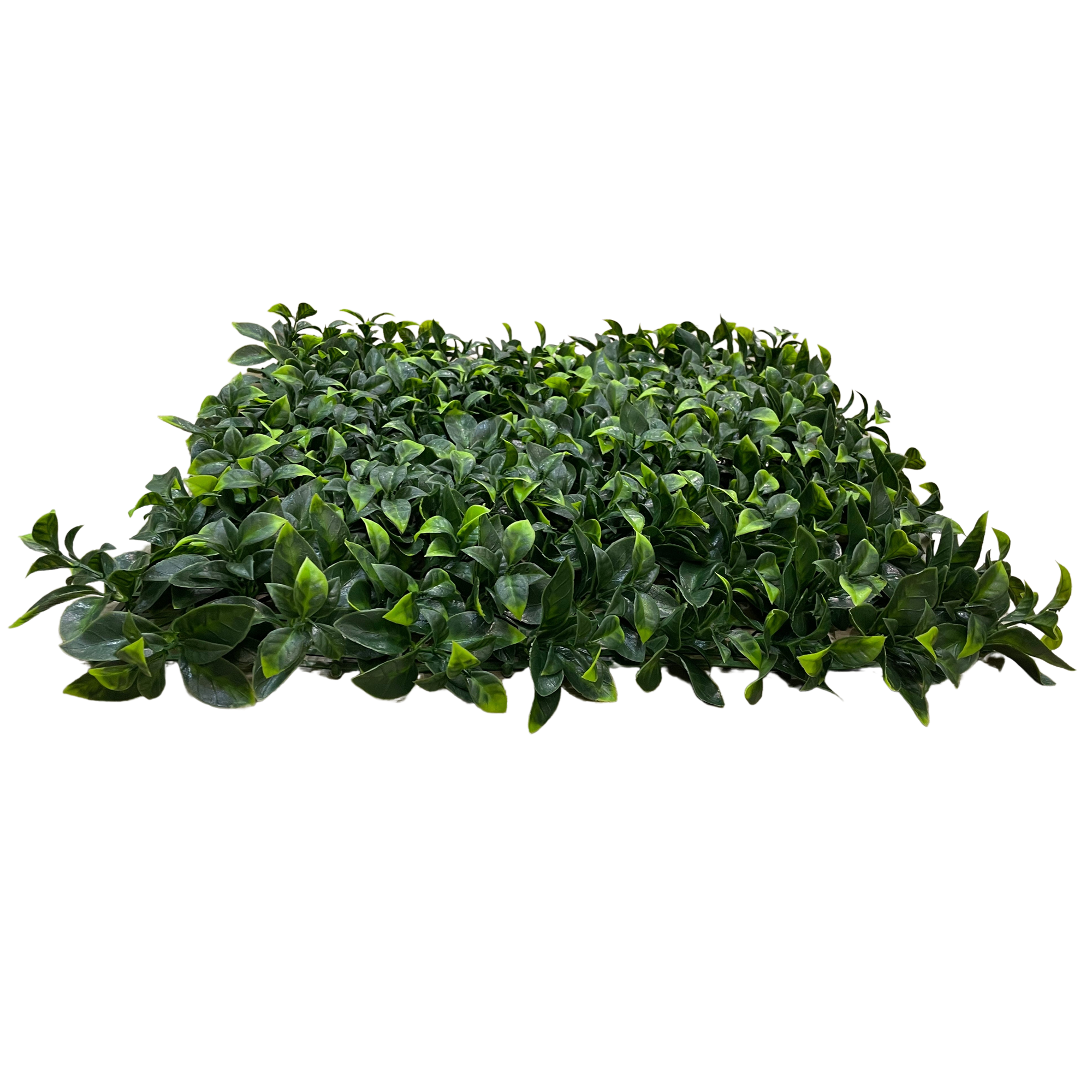 Placa Ficus UV Jardim Vertical Artificial (50x50cm) - Imagem 2