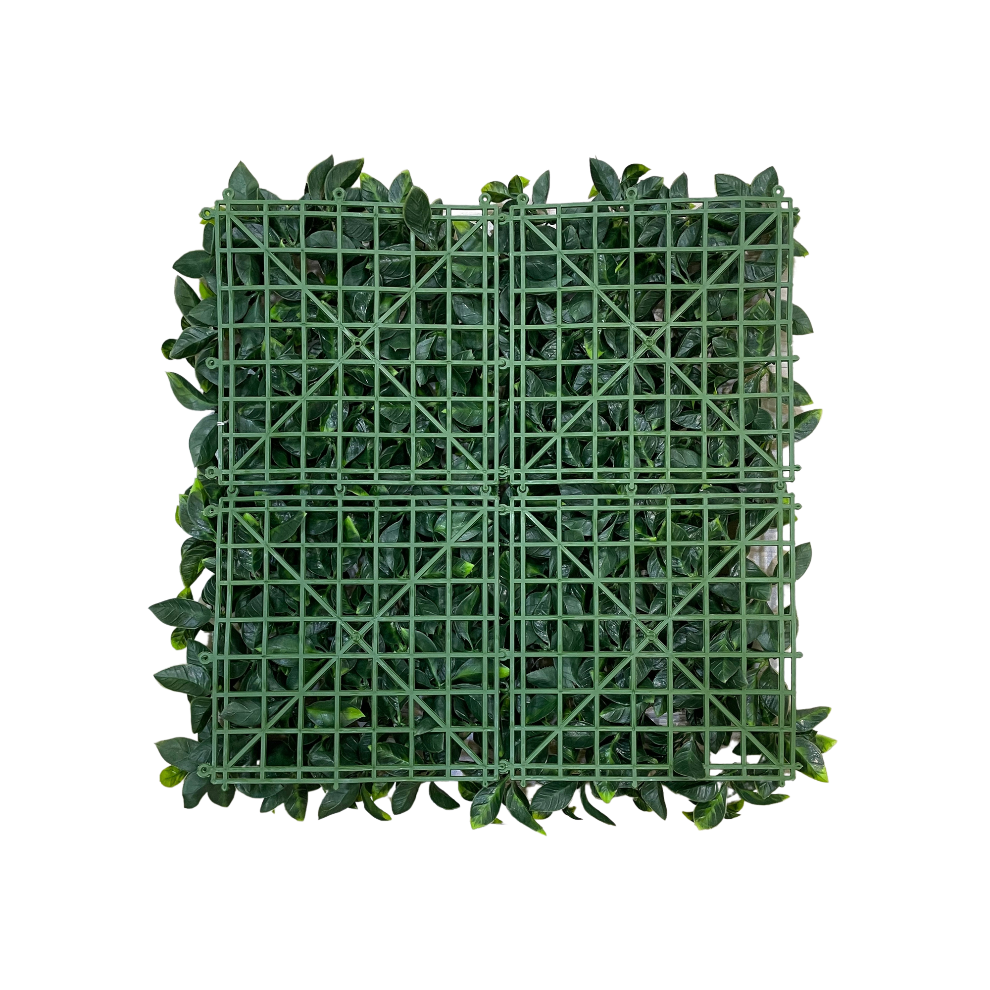 Placa Ficus UV Jardim Vertical Artificial (50x50cm) - Imagem 4