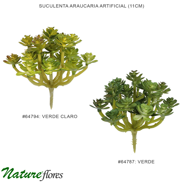 Suculenta Araucaria Artificial (11cm)