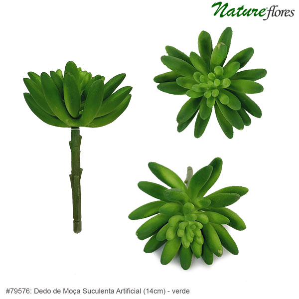 Dedo de Moça Suculenta Artificial (14cm) - Imagem 6