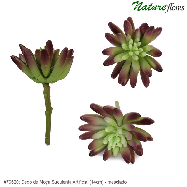 Dedo de Moça Suculenta Artificial (14cm) - Imagem 11