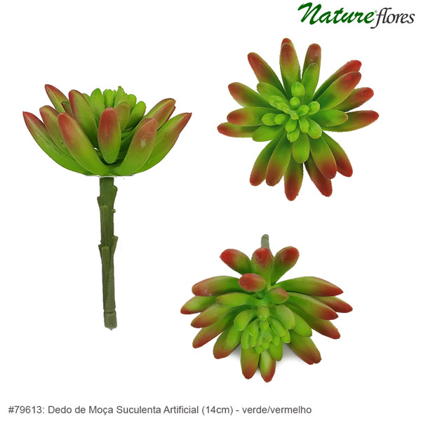 Dedo de Moça Suculenta Artificial (14cm) - Imagem 7