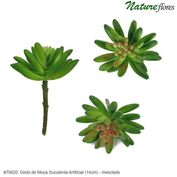 Dedo de Moça Suculenta Artificial (14cm) - Imagem 5