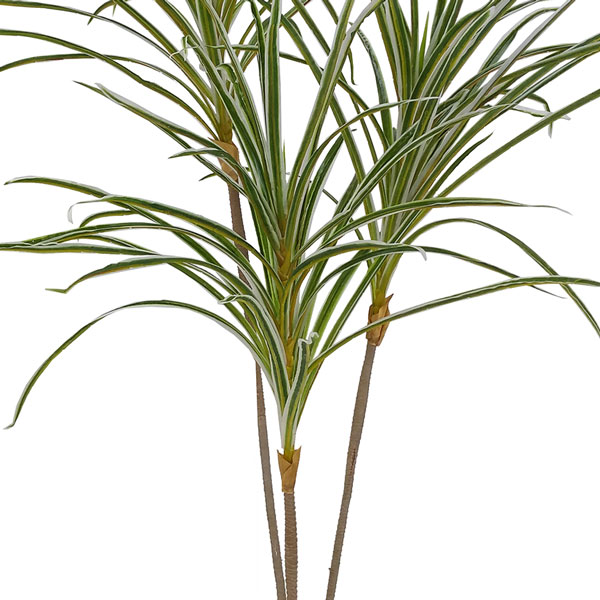 Dracena Árvore Artificial 2 Troncos (1,35m) - Imagem 7