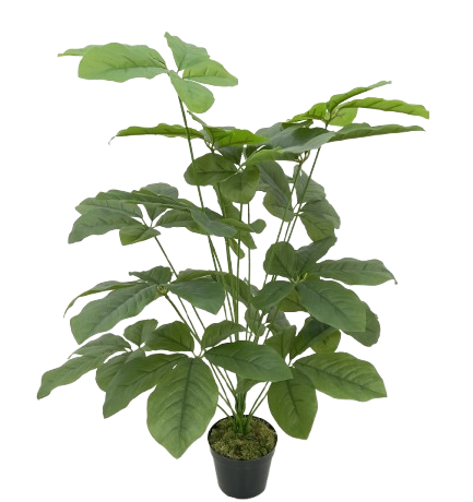 Scheflera Arbusto Artificial (1,00m)