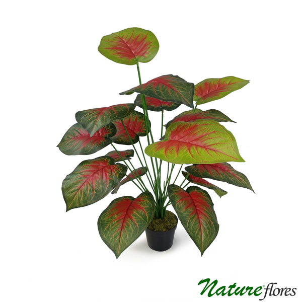 Tinhorão Caladium Arbusto Artificial (70cm) - Imagem 3