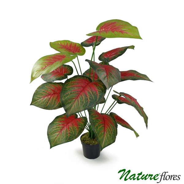 Tinhorão Caladium Arbusto Artificial (70cm) - Imagem 2