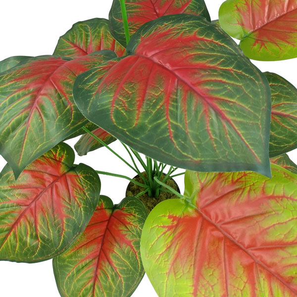 Tinhorão Caladium Arbusto Artificial (70cm) - Imagem 4