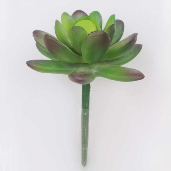 Dedo de Moça Mini (9cm)