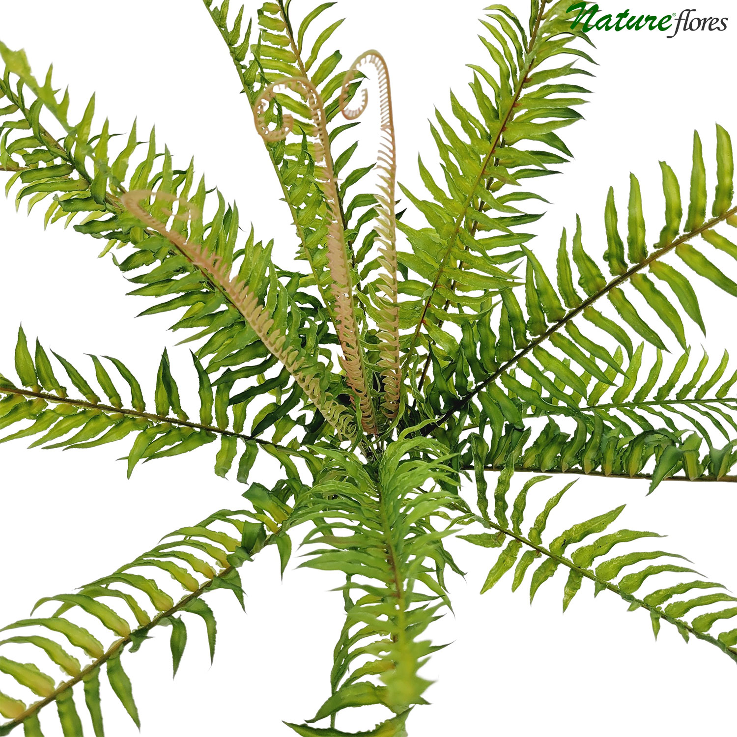 Samambaia Verde Folhagem Pendente Artificial (50cm) - Imagem 2