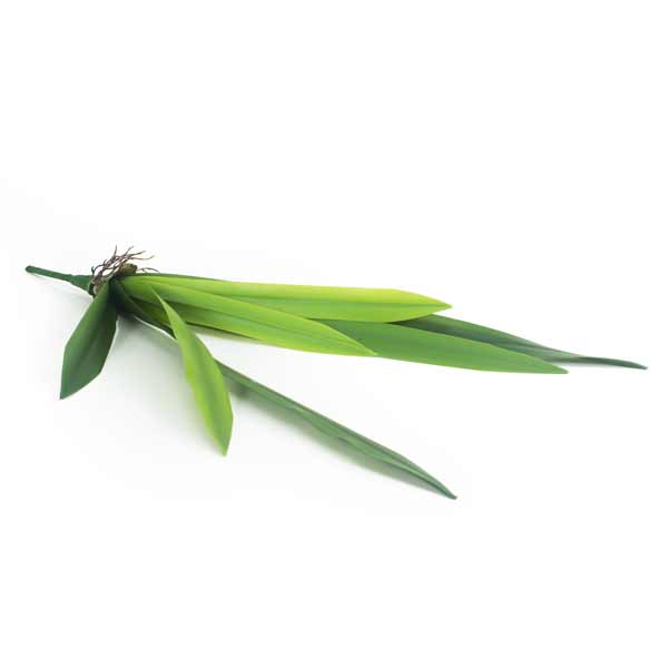 Folha Artificial de Orquídea em Silicone 7F (56cm) - Imagem 2