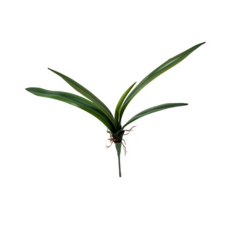 Folha Artificial de Orquídea Verde em Silicone