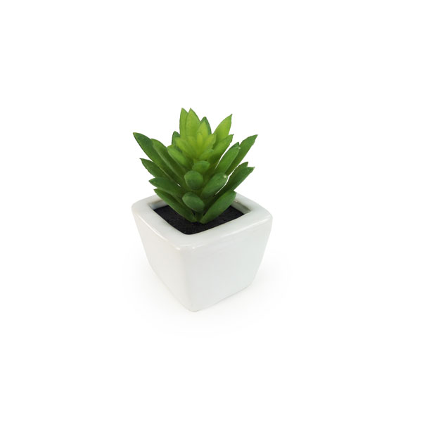 Vasinho de Suculenta Mini Artificial (7cm) - Imagem 5
