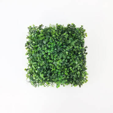 Placa de Buxinho Jardim Vertical Artificial (25x25cm)
